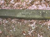 image of grave number 684277